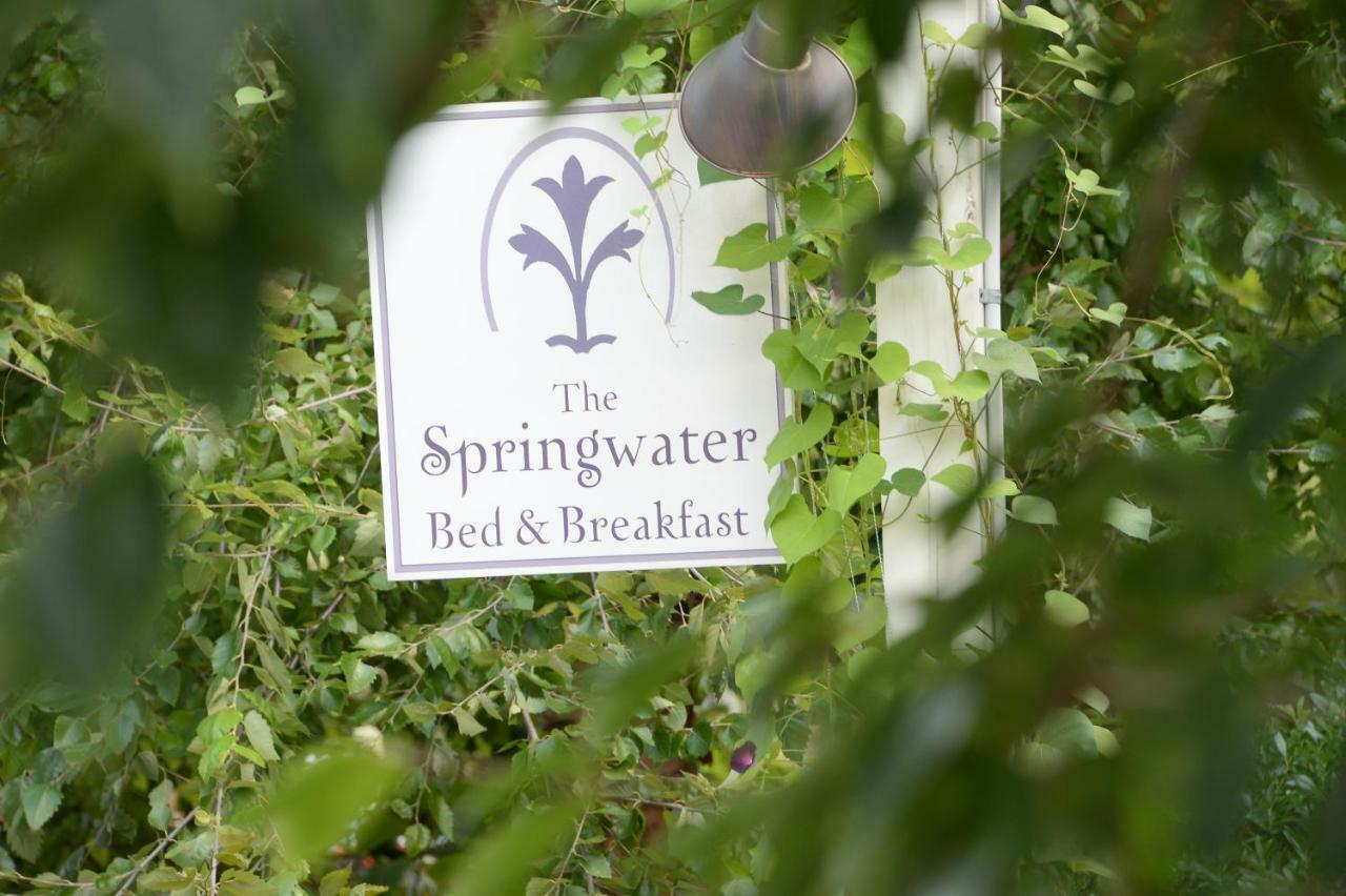 The Springwater Bed And Breakfast Saratoga Springs Ngoại thất bức ảnh