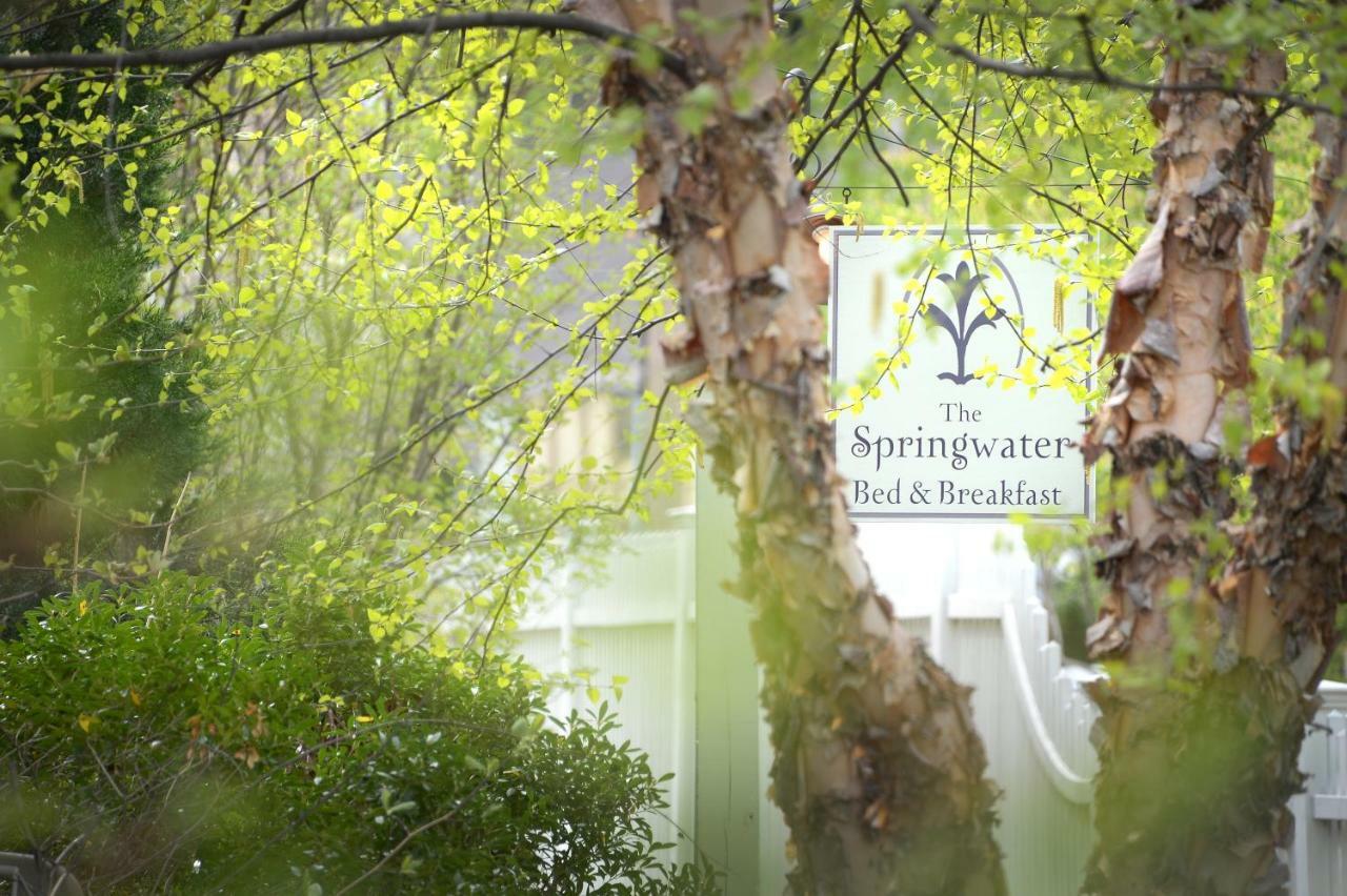 The Springwater Bed And Breakfast Saratoga Springs Ngoại thất bức ảnh